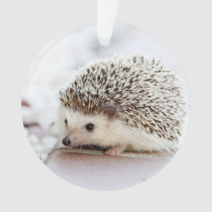Animal mignon de hérisson de bébé