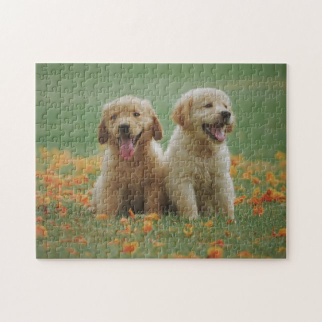 Animal Puzzles Animal Pic mignon Sad Chiot Pho (Horizontal)