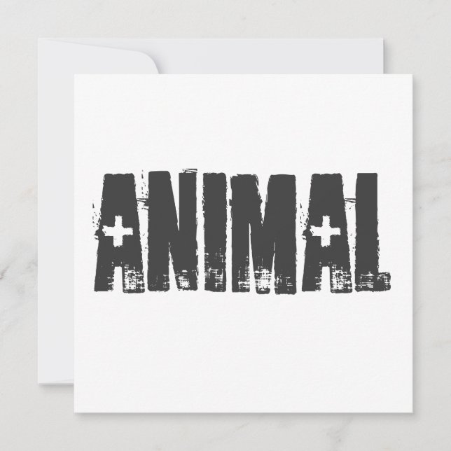 Animal - Salle de gym Fitness (Devant)