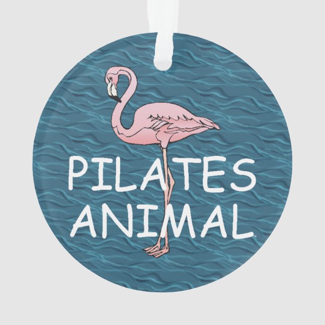 Animal SUPÉRIEUR de Pilates (dos)