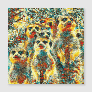 AnimalArt_Meerkat_001