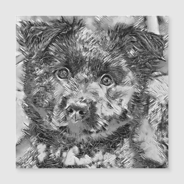 AnimalArtBW_Dog_005 (Devant)
