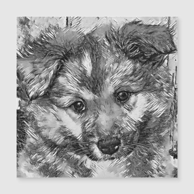 AnimalArtBW_Dog_010 (Devant)