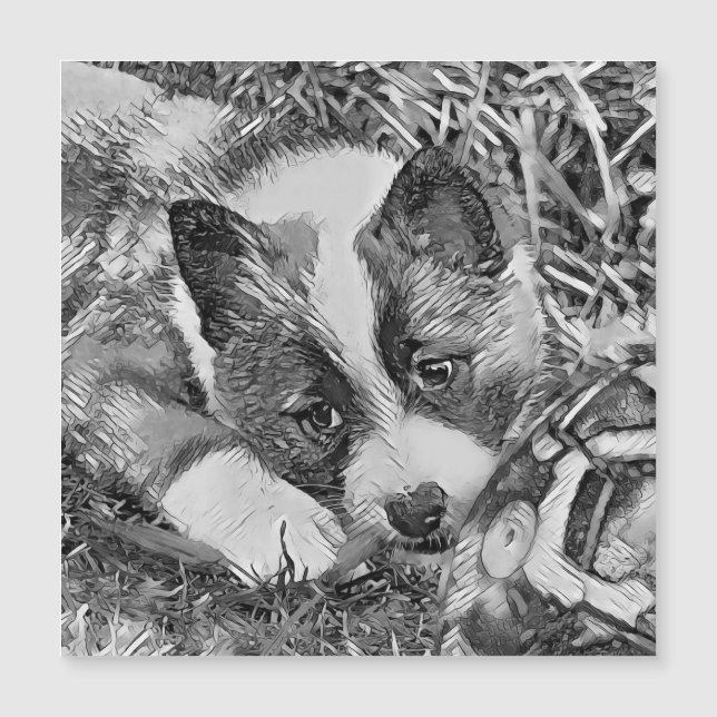 AnimalArtBW_Dog_012 (Devant)