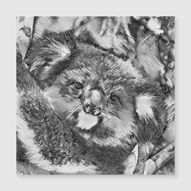 AnimalArtBW_Koala_001 (Devant)