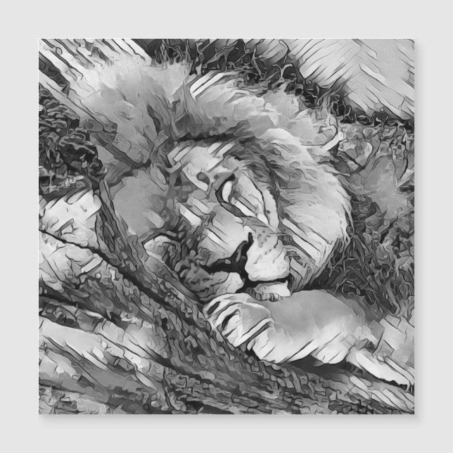 AnimalArtBW_Lion_001 (Devant)