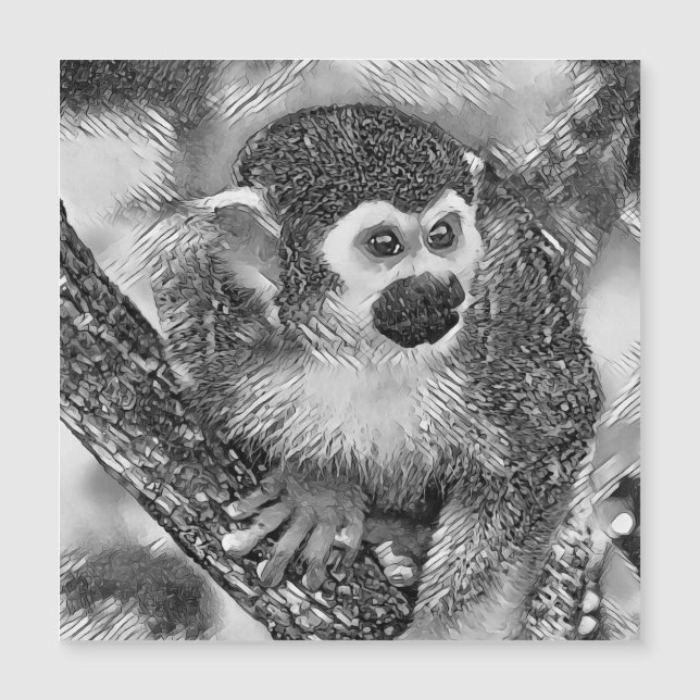 AnimalArtBW_Monkey_002 (Devant)