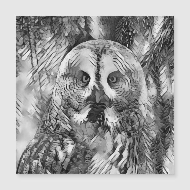 AnimalArtBW_Owl_001 (Devant)