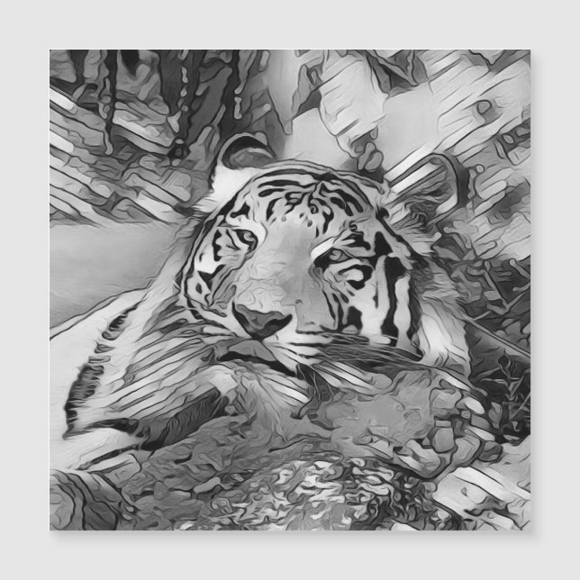 AnimalArtBW_Tiger_002 (Devant)