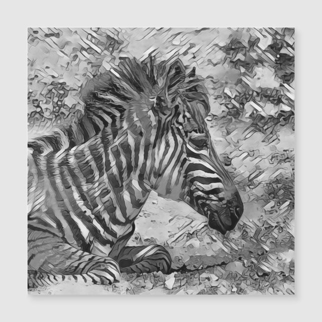 AnimalArtBW_Zebra_001 (Devant)