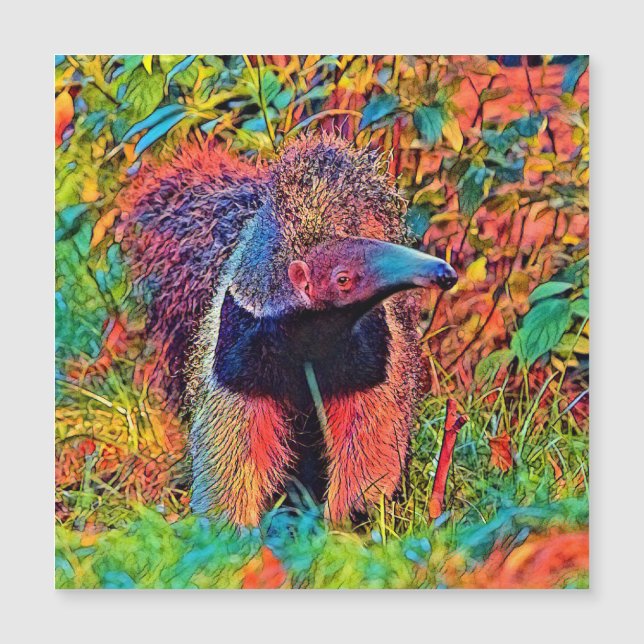 AnimalColor_Anteater_001 (Devant)