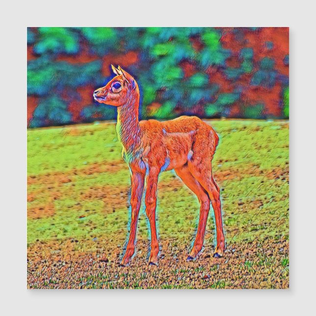AnimalColor_Antilope_001 (Devant)