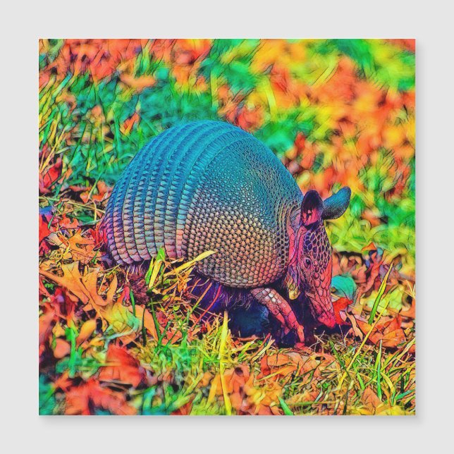 AnimalColor_Armadillo_001 (Devant)