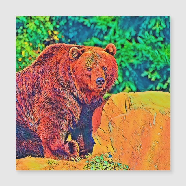 AnimalColor_Bear_001 (Devant)