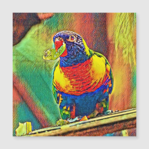AnimalColor_Bird_07