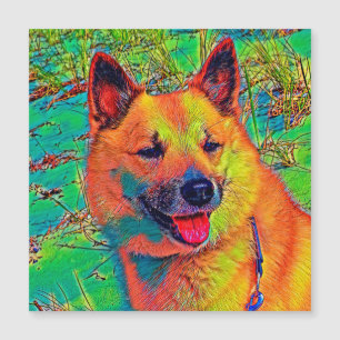 AnimalColor_Chien_014