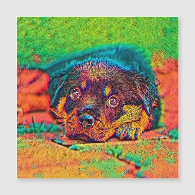 AnimalColor_Dog_002 (Devant)
