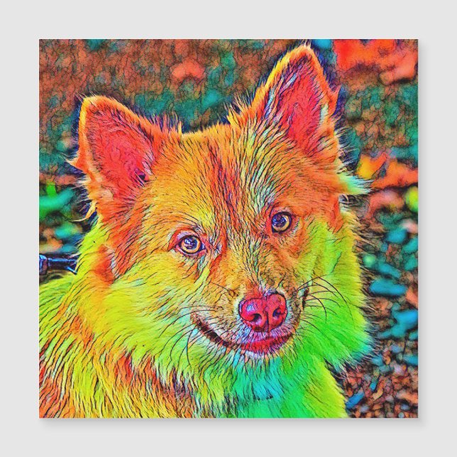 AnimalColor_Dog_020 (Devant)