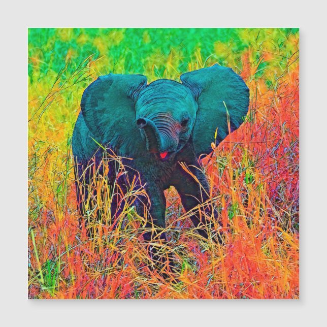 AnimalColor_Elephant_002 (Devant)