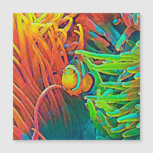 AnimalColor_Fish_001