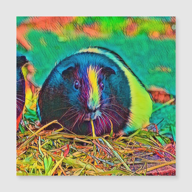 AnimalColor_Guineapig_002 (Devant)