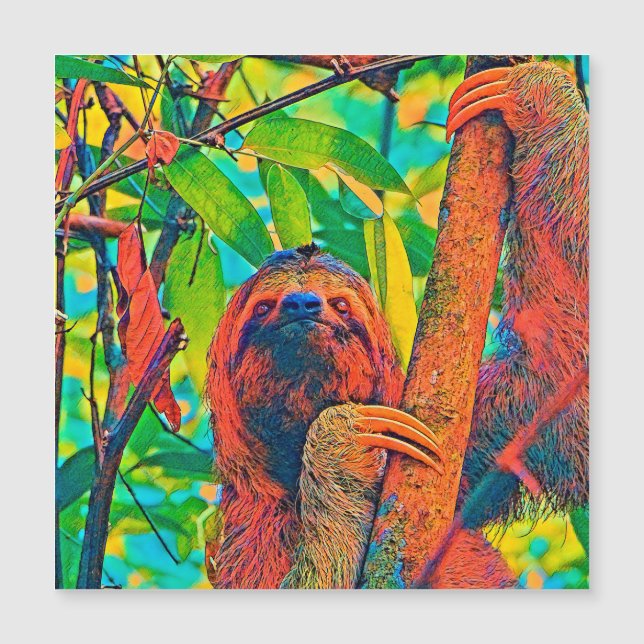AnimalColor_Sloth_003 (Devant)