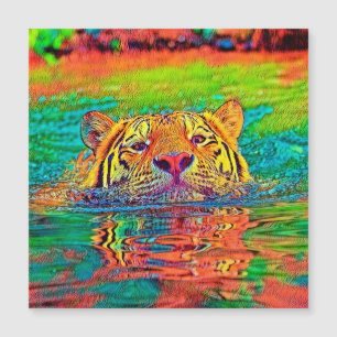 AnimalColor_Tiger_001
