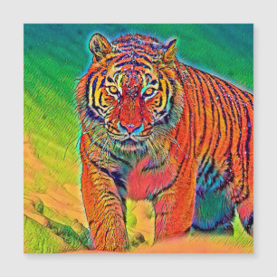 AnimalColor_Tiger_005