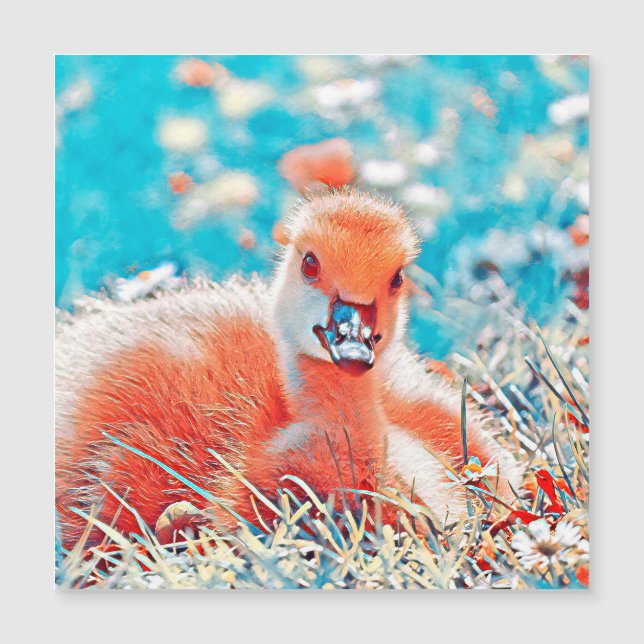 AnimalMix_Bird_019 (Devant)