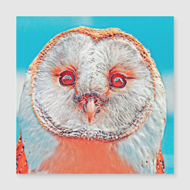 AnimalMix_Bird_023 (Devant)