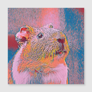 AnimalMix_Guineapig_001