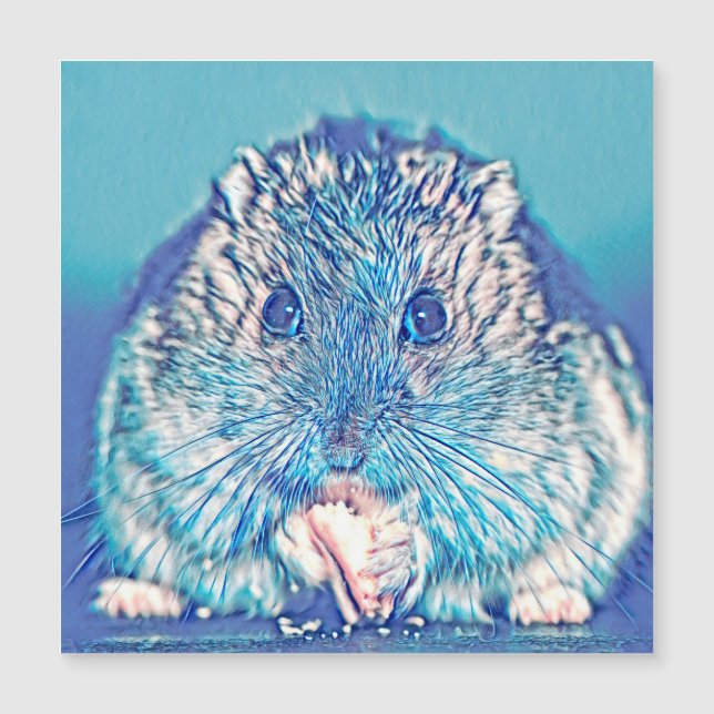 AnimalMix_Hamster_003 (Devant)