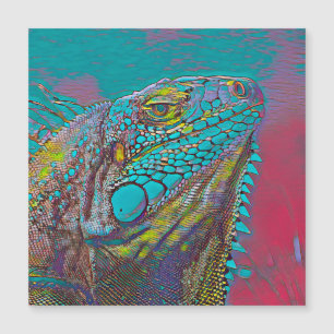 AnimalMix_Iguana_011