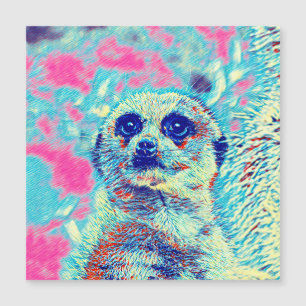 AnimalMix_Meerkat_008