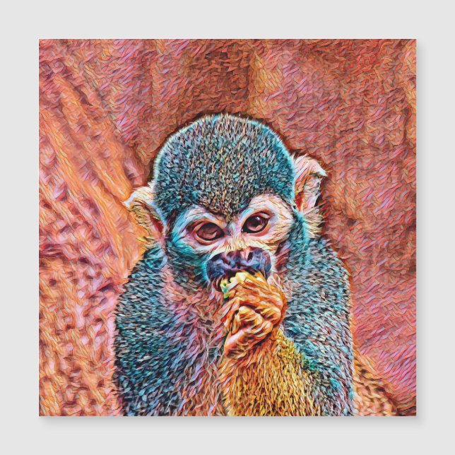 AnimalMix_Monkey_001 (Devant)