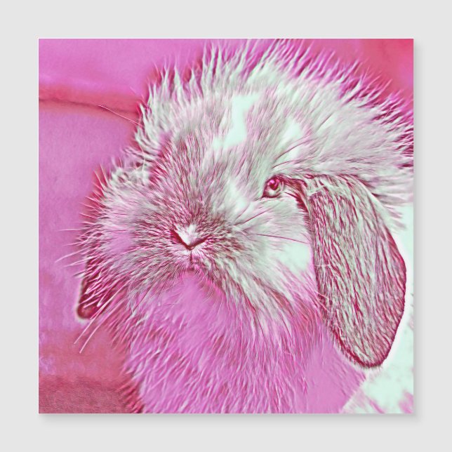 AnimalMix_Rabbit_008 (Devant)