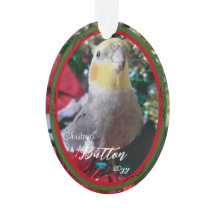 Animaux Acrylique de Noël Ornament Oiseau personna