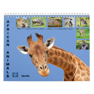 Animaux africains Calendrier des 12 mois