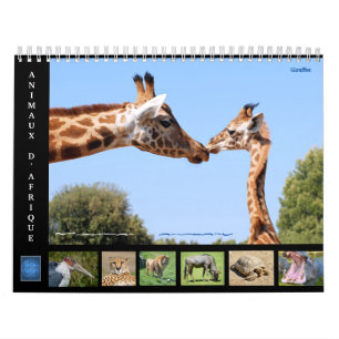 Animaux africains Calendrier des 12 mois