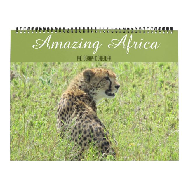 animaux africains grand calendrier 2027 (Protection)