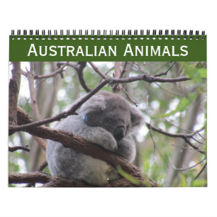 animaux australiens calendrier 2026