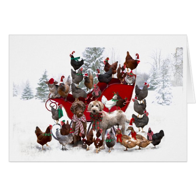 ANIMAUX DE BARNYARD AVEC CARTE DE NOËL SLEIGH (Devant horizontal)