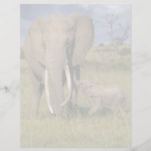 Animaux de bébés cutest Amama Elephant Avec Bébé