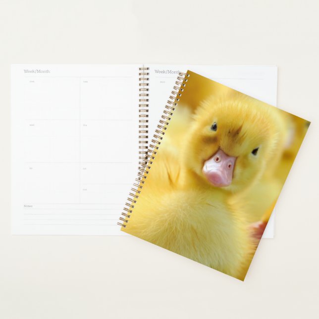Animaux de bébés cutest | Baby Duck Group (Devant avec enveloppe)