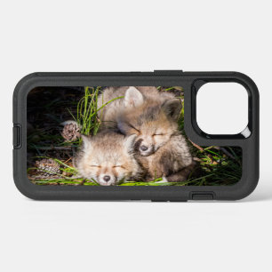 Animaux de bébés cutest   Baby Red Fox Kits Sleepi