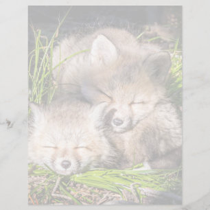 Animaux de bébés cutest Baby Red Fox Kits Sleepi