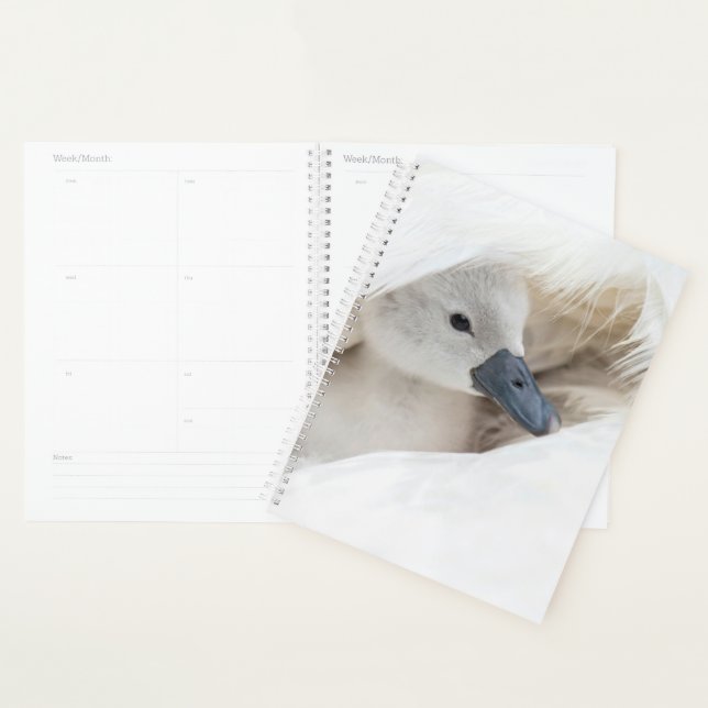 Animaux de bébés cutest | Bébé Mute Swan (Devant avec enveloppe)