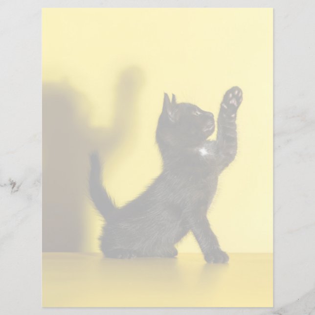 Animaux de bébés cutest | Black Cat Jouer (Devant)