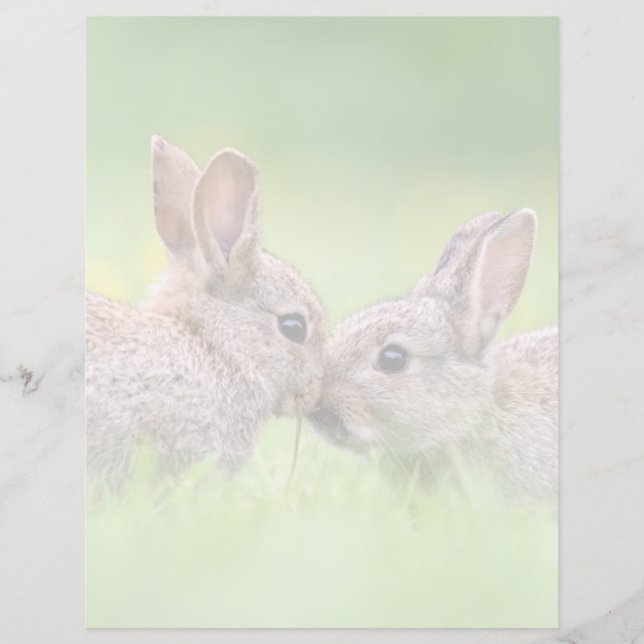 Animaux de bébés cutest | Bunny Kiss (Devant)