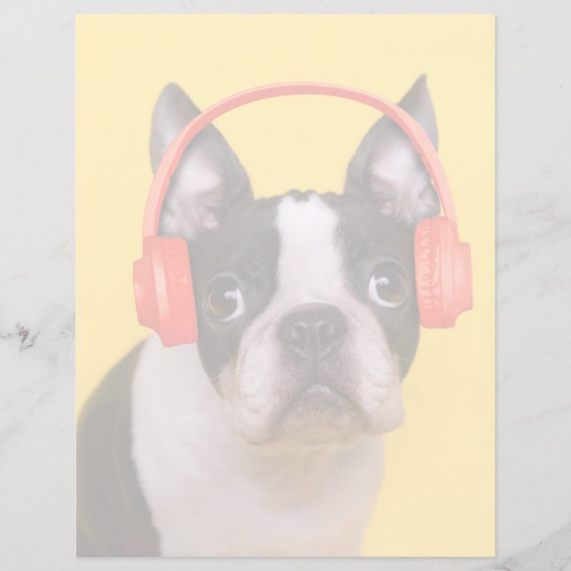 Animaux de bébés cutest | Casques Terrier de Bosto (Devant)